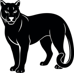 Obraz premium Standing black panther animal wildlife mammal silhouette vector illustration