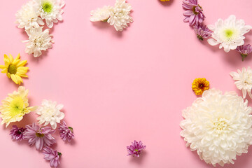Frame made of beautiful chrysanthemum flowers on pink background