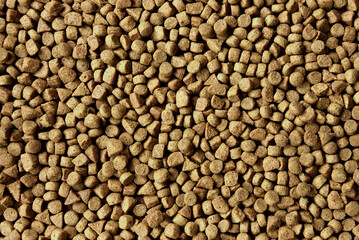 Dry pets food close-up. Texture of feed grains on a surface.