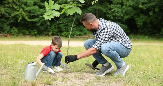 Father and his son planting tree into soil outdoors