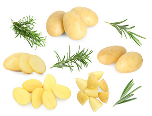 Fresh raw potatoes and rosemary on white background, collage