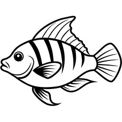 Minimal Hogfish Line Illustration