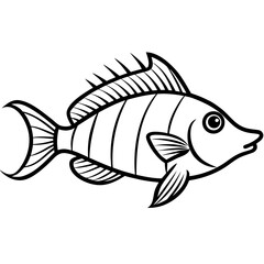 Minimal Hogfish Line Illustration