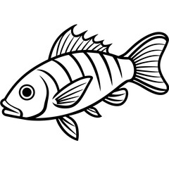 Minimal Hogfish Line Illustration