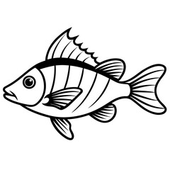 Minimal Hogfish Line Illustration