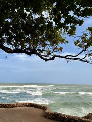 Beach, waves and tree under blue cloudy sky. El Malecon, Distrito Nacional, Santo Domingo, Dominican Republic