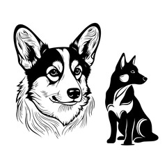 Fototapeta premium Corgi and silhouette of a dog in black and white illustration 