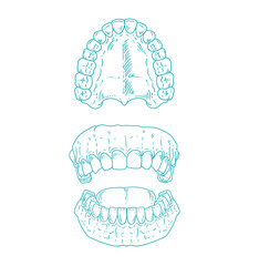 Set of original hand-drawn illustrations of teeth in a minimalist style. illustrations for posters, cards, dental clinics, and graphic design.