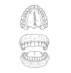 Set of original hand-drawn illustrations of teeth in a minimalist style.  illustrations for posters, cards, dental clinics, and graphic design.