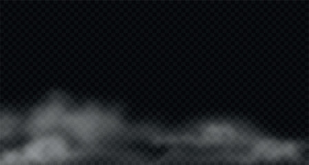 Vector realistic morning mist, floating smoke, fog on the floor.
