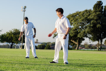 Diverse male teammates in uniforms standing on cricket pitch under floodlights holding red ball