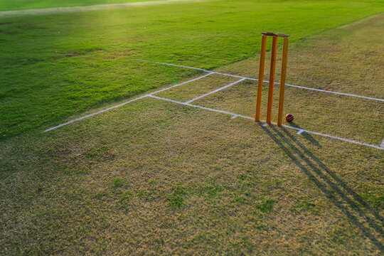 Wooden cricket stumps standing on worn grass pitch with red ball resting under sharp shadows