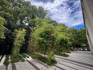 街中に広がる静かな竹林と石畳の風景