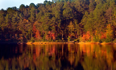 Obraz premium Autumn colors reflect in the water at Lake Nicol in Tuscaloosa Alabama