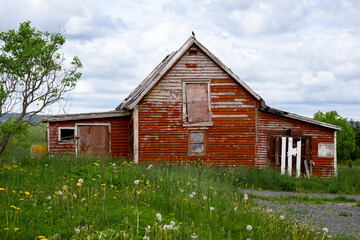 A small, vibrant red wooden barn with two side additions for storing animals. There's a green grassy meadow in front of the building with a tall tree. The paint is peeling from the exterior walls.