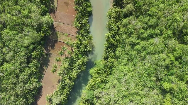 Aerial Maron river in Pacitan, East Java. River flows through a fertile agricultural valley surrounded by forests and coconut trees.