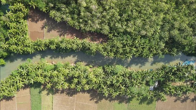 Aerial Maron river in Pacitan, East Java. River flows through a fertile agricultural valley surrounded by forests and coconut trees.