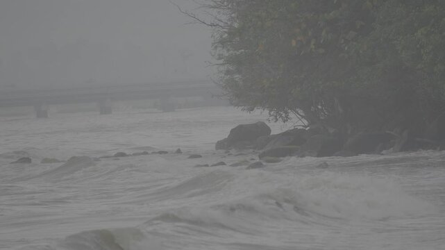 Rocky Shoreline with Mangrove Trees Along the Coast S-Log3