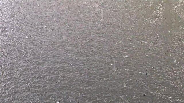 rain drops on the pond