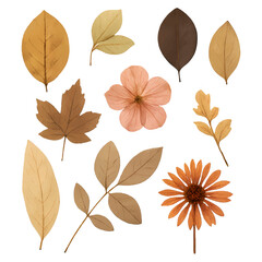 Fototapeta premium 내추럴 마른 잎 꽃 플랫 투명 PNG 세트 번들, 분리된 배경. 따뜻하고 감성적인 식물소재, 자연스러운 빈티지 디자인