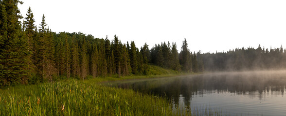 Early morning at a misty lake with a green forest and a transparent sky

