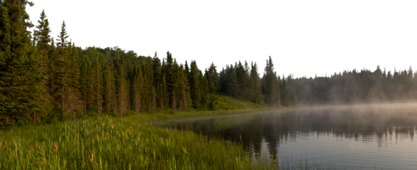 Early morning at a misty lake with a green forest and a transparent sky