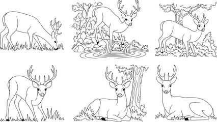 Fototapeta premium Collection of six black and white line art illustrations of deer in various poses and settings