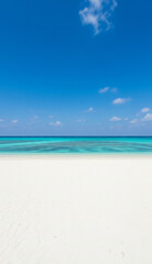 Obraz premium Calming view of a peaceful beach with gentle water and sunlight