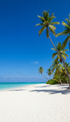 Obraz premium Idyllic beach scene with crystal waters and bright blue sky