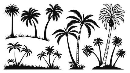 Collection of diverse black silhouette palm trees with varied trunks and fronds on white background