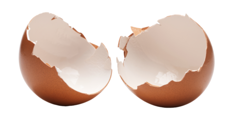 cracked eggshell halves isolated on white background