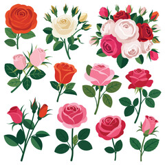 Collection of various colorful roses and rosebuds with green leaves on a white background