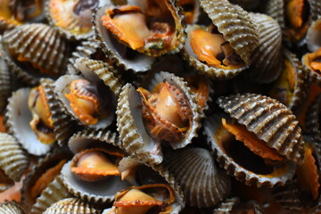 ripe fresh cockle on plate, delicious food in restaurant