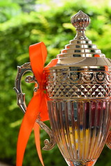 beautiful golden trophy with orange ribbon on green tree background