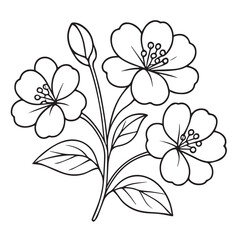 Vector drawing of a jasmine bloom in monochrome style, featuring strong black outlines to capture its soft beauty and natural elegance.

