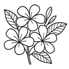 Vector drawing of a blooming frangipani (kamboja) flower, rendered in monochrome with thick black outlines for a clean and elegant look.

