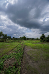 Irrigation channels used for rice paddy fields for food and animal feed production
