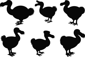 Dodo bird silhouette collection, extinct animal shape vector, cad drawing flat vector illustration for print, design, and educational use © Deep Mind Creations