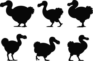 Dodo bird silhouette vector set, extinct flightless bird design, black outline animal illustration, cad drawing flat vector  bird silhouette vector set, extinct flightless  © Deep Mind Creations