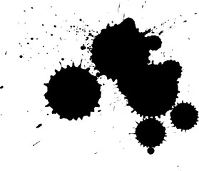 Fototapeta premium black brush ink drop splatter splash artistic