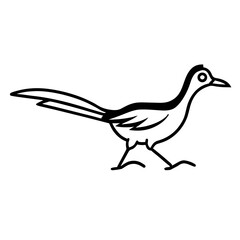 Fototapeta premium roadrunner mid sprint on white background