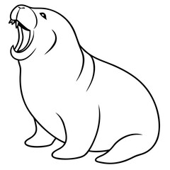 walrus yawning wide on white background