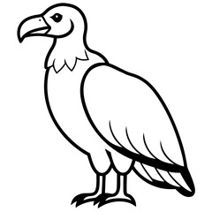 Obraz premium vulture perched looking down on white background