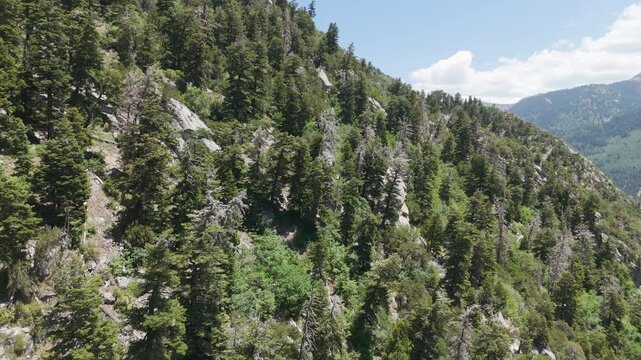 Aerial-Pan-Mountains of Little Cottonwood Canyon - Rugged granite and pine tree colored peaks - Beautifully scenic Mountain splendor