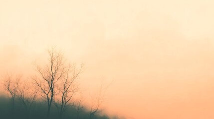 Fototapeta premium Bare trees silhouetted against a soft orange foggy sky