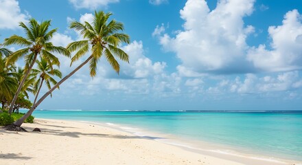 Tropical Paradise Palm Trees on a Pristine Beach with Azure Waters and Clear Blue Skies, Perfect for a Relaxing Vacation