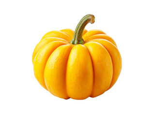 Obraz premium Single ripe orange pumpkin isolated on black background, Isolated On Transparent Background, Png