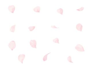 水彩で描いたシンプルな　桜の花びら　イラスト　セット © punn