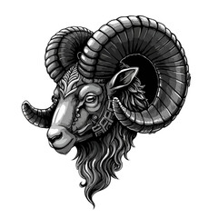 Majestic Ram Vector Detailed Horns and Ornamental Design