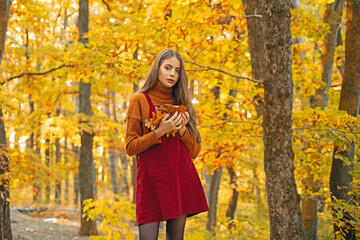 Autumn woman in golden sunlight. Romantic portrait of stylish girl with leaves. Beautiful woman...